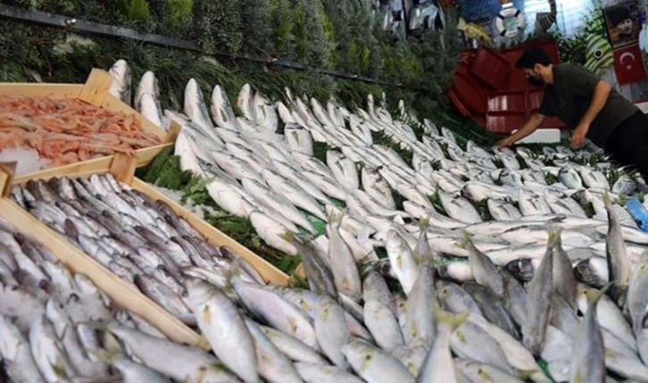 Karadeniz'de palamut bollaştı, hamsi yok oldu