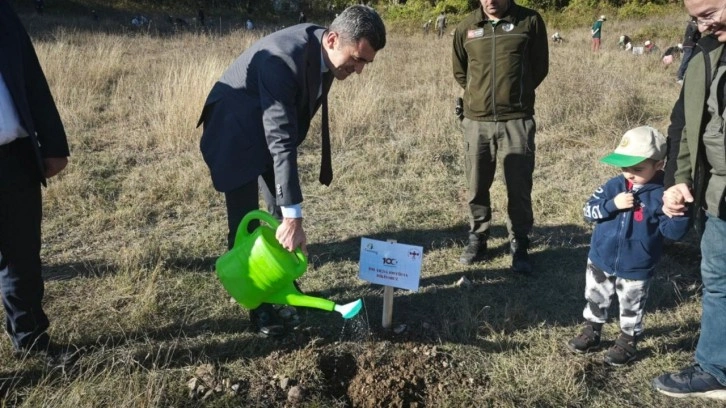 Kastamonu'da 100. yıla özel Türk Bayrağı koreografisi ve ağaç dikimi etkinliği