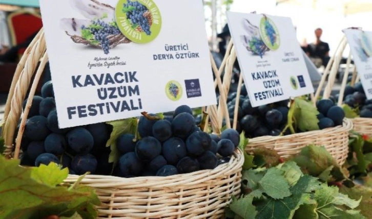 Kavacık Üzüm Festivali başlıyor