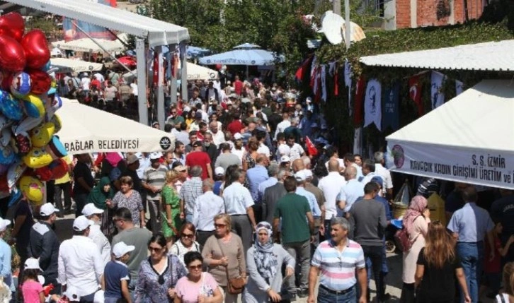 Kavacık Üzüm Festivali kapılarını açıyor