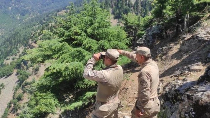 Kaybolan Alzheimer hastasını, 60 kişilik jandarma ekibi arıyor