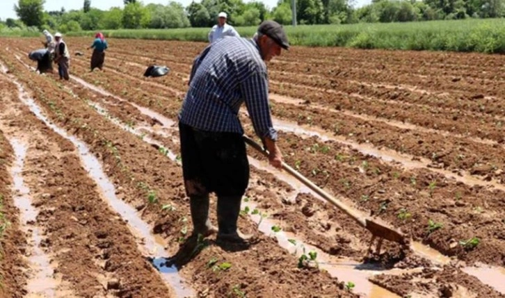 Kayıtlı 2.1 milyon çiftçinin 1 milyon 366 bin arazisi rehin verildi