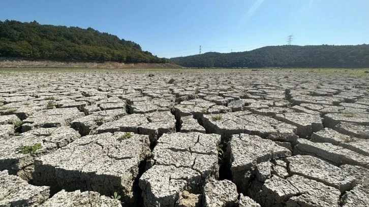 Kemerburgaz Kent Ormanı'ndaki göl adeta çöle döndü