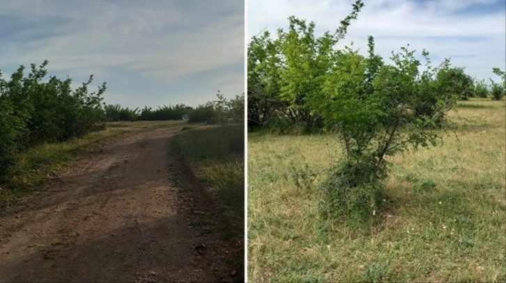 Kırklareli'nde parçalanmış ceset bulunmasıyla ilgili 2 şüpheli yakalandı