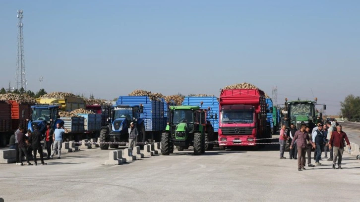 Konya Şeker ve Çumra Şeker fabrikalarında pancar alım kampanyası başladı