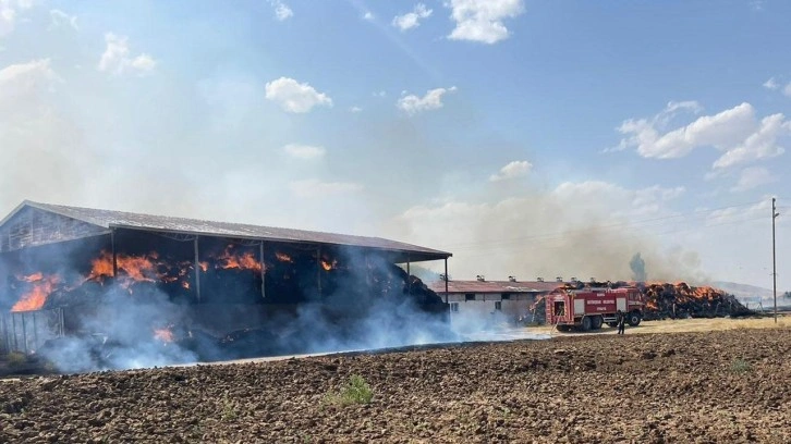 Konya'da feci olay: 33 büyükbaş hayvan telef oldu!