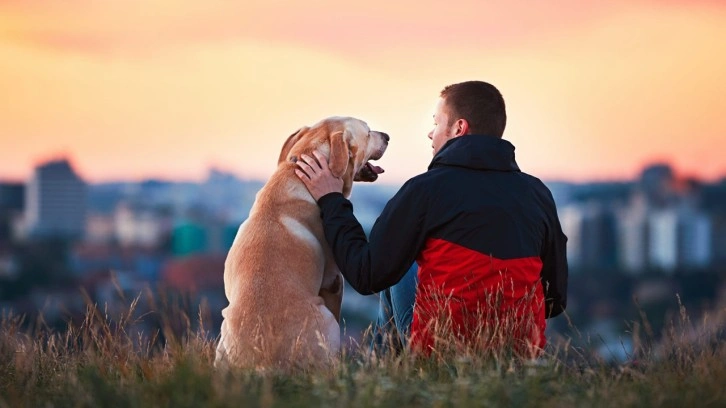 Köpek besleyenlerin bildiği, diğer kişileri ise hayrete düşüren gerçek: Algılayabiliyorlar!