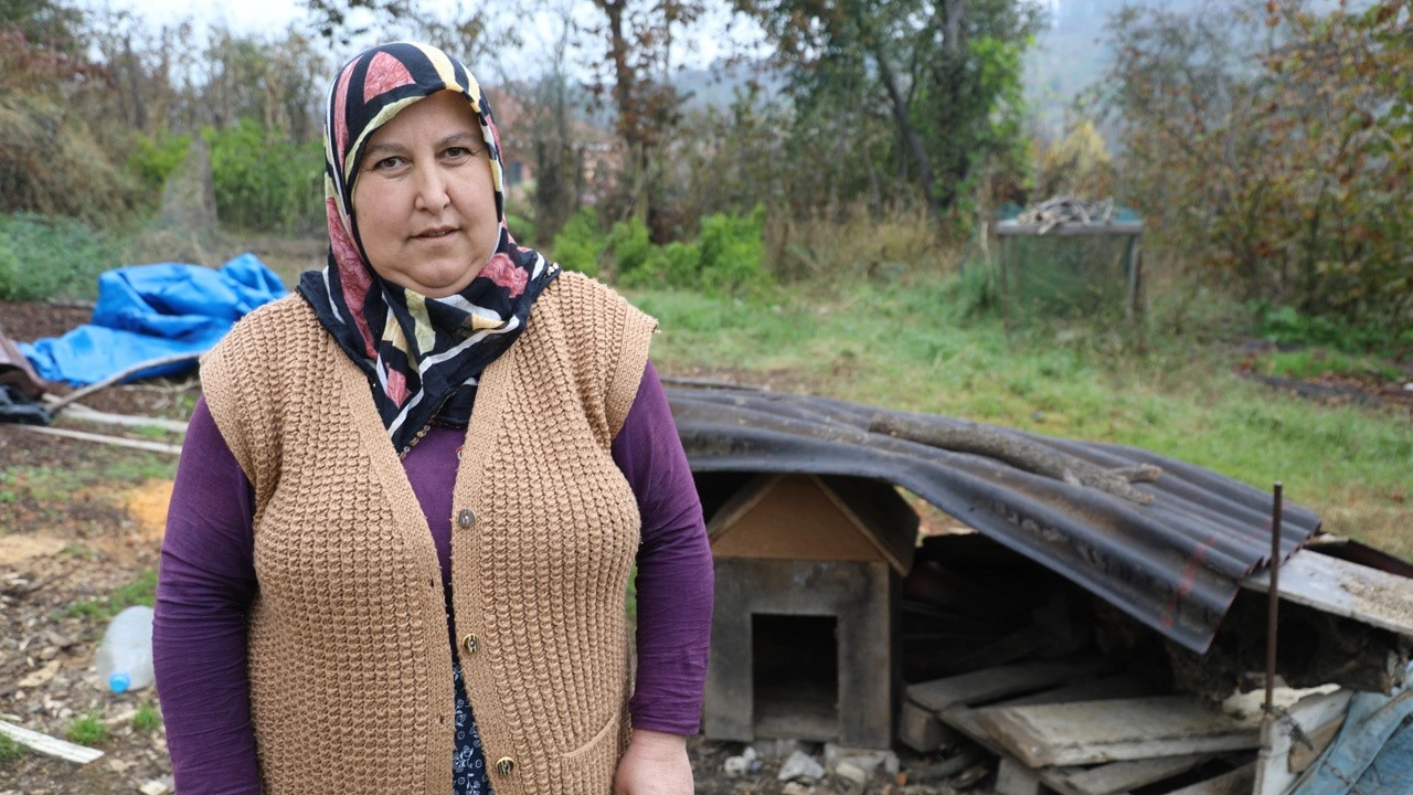 Köpeklerinin çalındığını düşünüyorlardı, güvenlik kamerası görüntülerini izleyince şok oldular