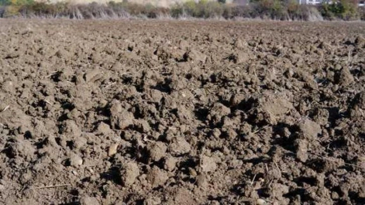 Korkutan görüntü: Toprağı taşa çevirdi