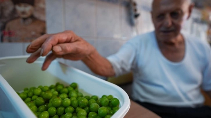 Koruk suyundan yaptığı dondurma ekşi severlerin favorisi oldu