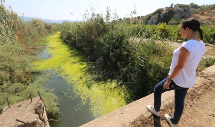 Kuraklık ve su krizi Efes Selçuk'ta konuşulacak