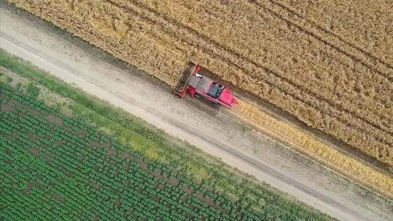 Küresel gıda fiyatları ocakta geriledi