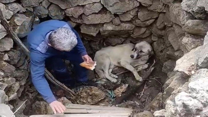 Kuyuya düşen köpeğe vatandaştan yardım eli