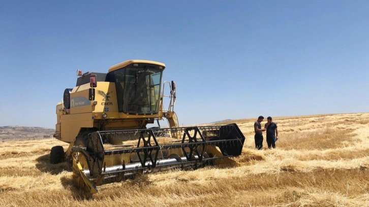 Maliyetler fena yükseldi! Çiftçiler buğday alım fiyatında revize bekliyor