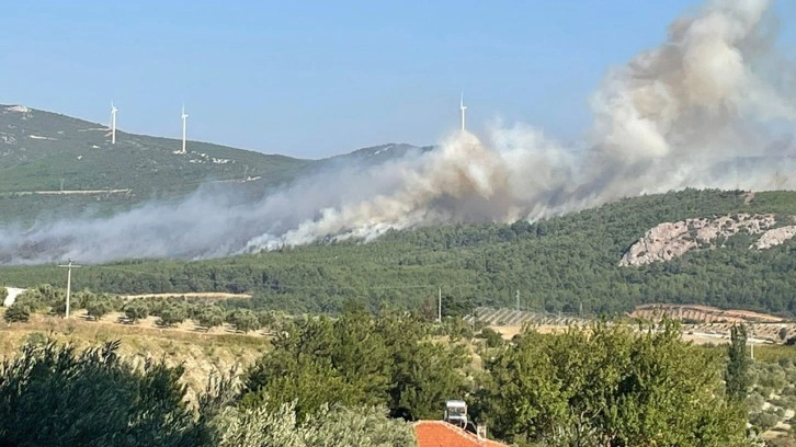 Manisa'da korkutan orman yangını: 2 mahalle boşaltıdı