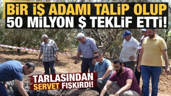 Manisa'da tarlasından servet fışkırdı! 50 milyon dolar teklif ettiler