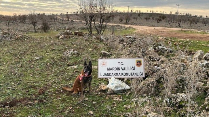 Mardin'de yola tuzaklanan EYP imha edildi!