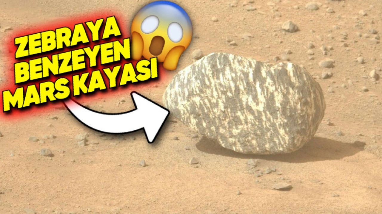 Mars'ta Zebra Benzeri Desenlere Sahip Bir Kaya Keşfedildi!