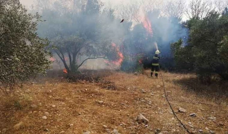 Menteşe’de arazi yangını