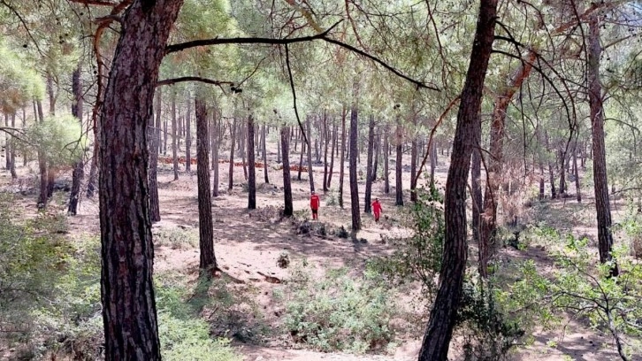 Mersin'de 80 yaşındaki Alzheimer hastası kayboldu