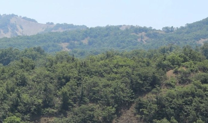 Mersin Valiliği'nden sıcaklık ve orman yangını uyarısı