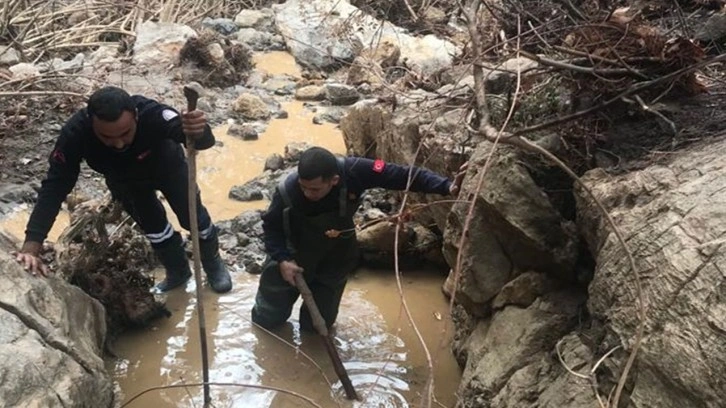 Mersin'de sele kapılan kadının cesedi bulundu