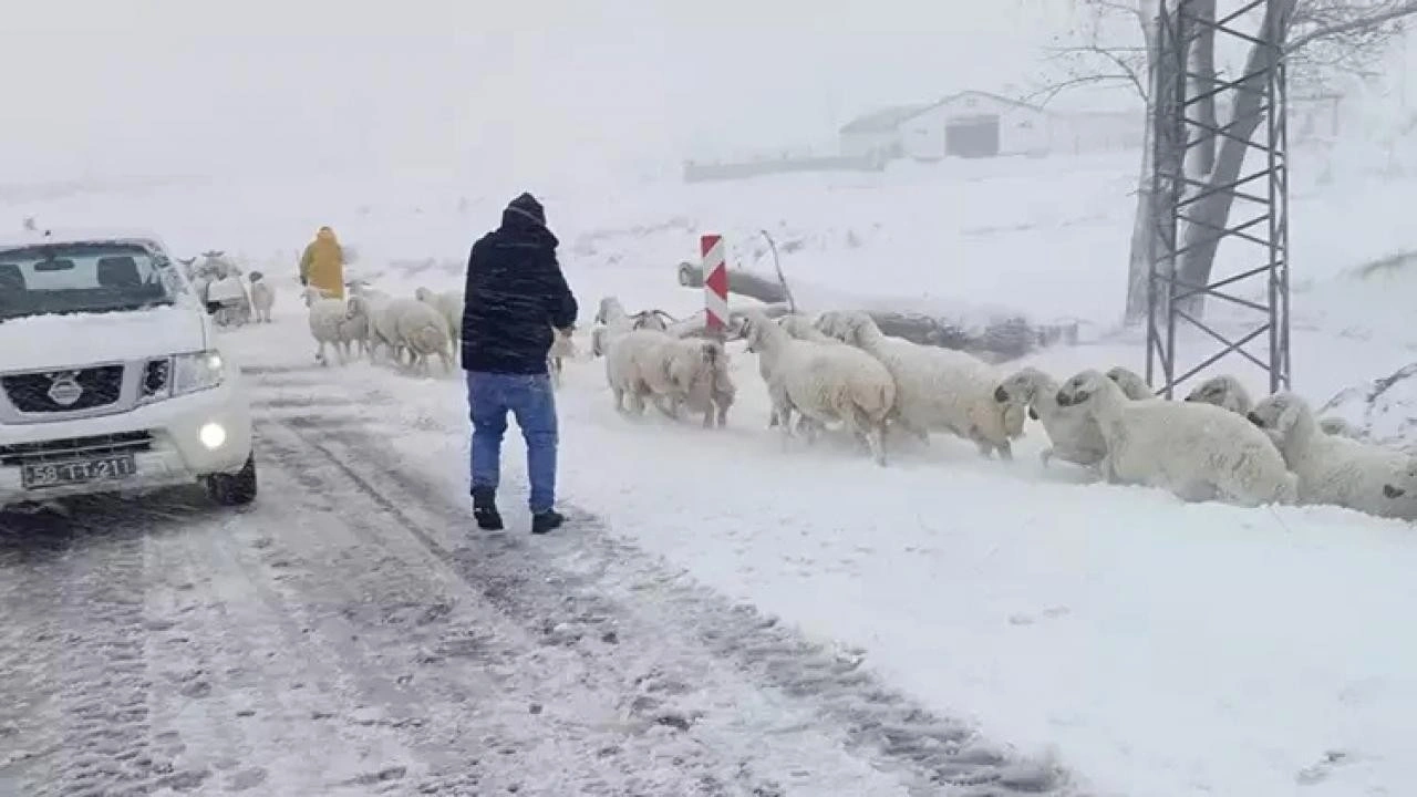 Meteoroloji kayıtlara geçti! İşte Türkiye'nin en soğuk yeri