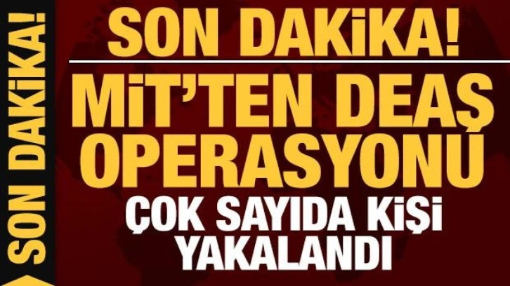 MİT'ten DEAŞ operasyonu: 15 şüpheli yakalandı!