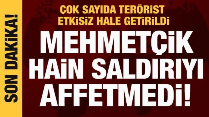 MSB açıkladı: Şehitlerimizin kanı yerde kalmadı... 22 terörist etkisiz!