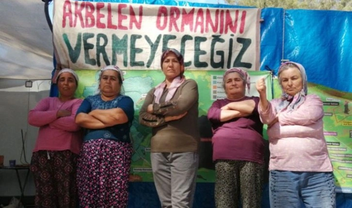 Muğla Akbelen Ormanı'nda yarın üçüncü kez keşif yapılacak