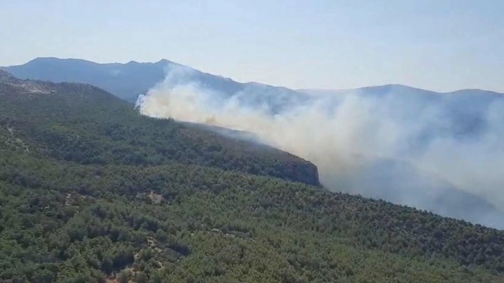 Muğla'daki orman yangını söndürüldü