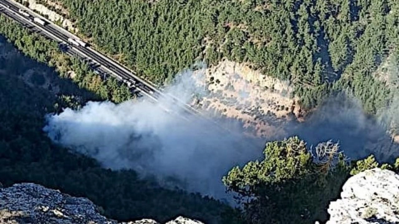 Muğla ve Mersin'de orman yangını