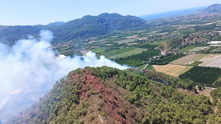 Muğla'da orman yangını çıktı! Yoğun duman görülüyor müdahale sürüyor