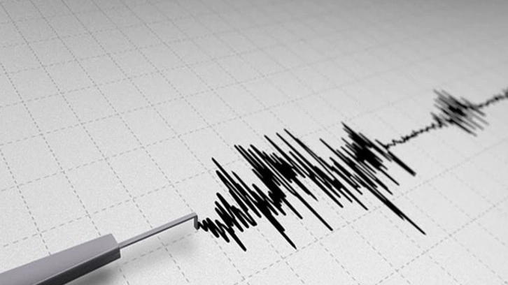 Muğla'da panik yaratan deprem! AFAD şiddetini açıkladı