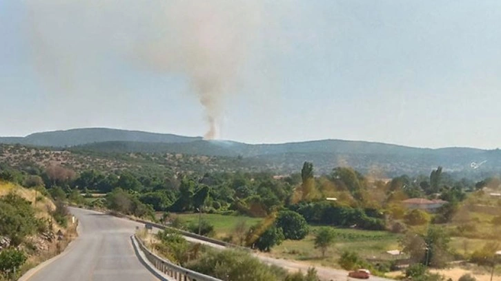 Muğla'da tarlada başlayan yangın makilik ve ormanlık alana sıçradı