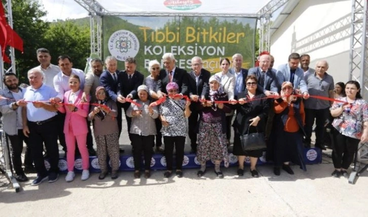 Muğla'da Tıbbi Bitkiler Koleksiyon Bahçesi hizmete açıldı