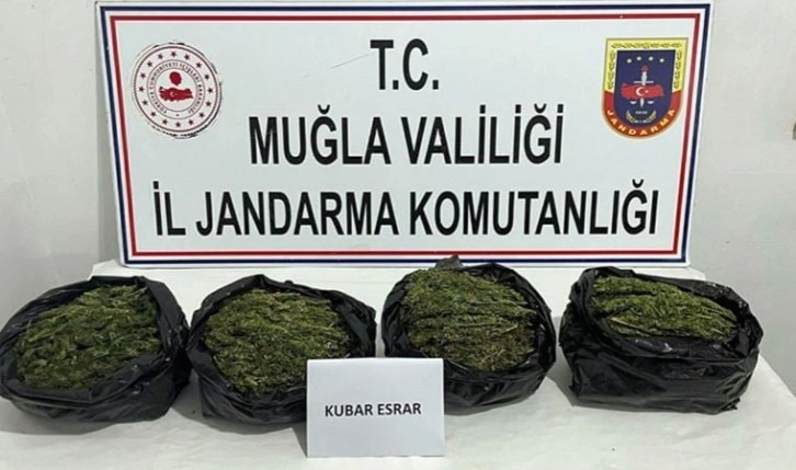 Muğla'da uyuşturucu operasyonu: 2 gözaltı