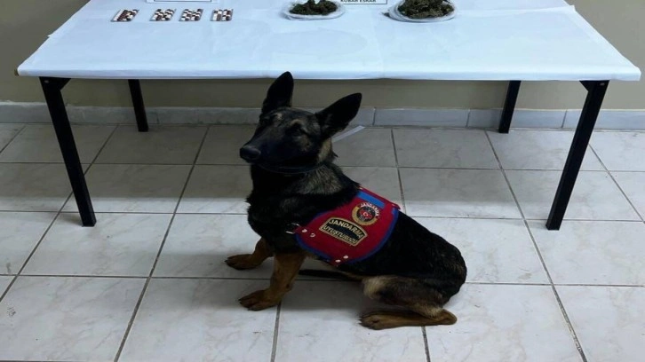 Narkotik köpeği ile arama yapılan araçta uyuşturucu ele geçirildi