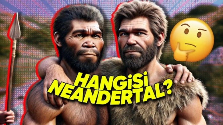 Neandertalleri ile Homo Sapiensin Farkları Neler?