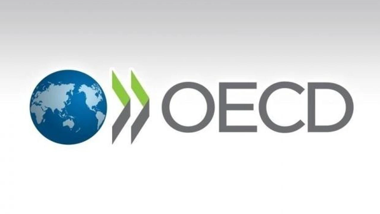 OECD, Türkiye'nin enflasyon ve büyüme tahminini yükseltti