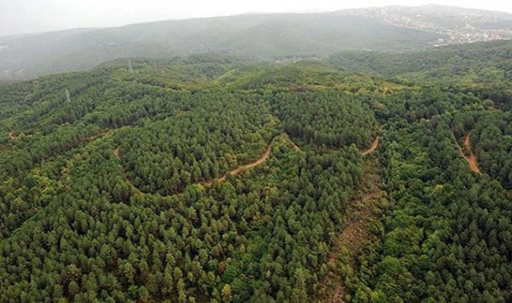 OGM’nin Sayıştay raporunda görüş alınmadığı ortaya çıktı