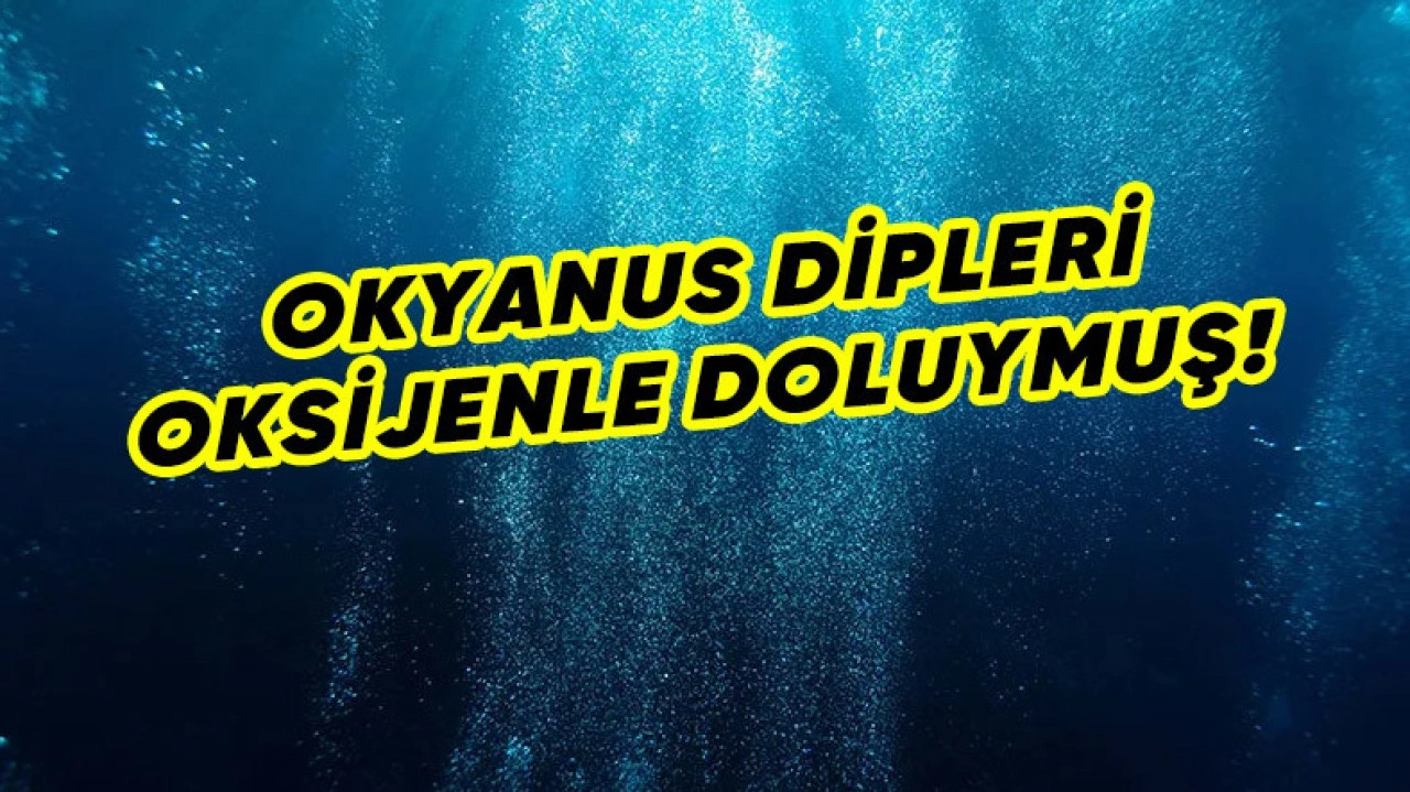 Okyanus Diplerinde "Karanlık Oksijen" Tespit Edildi