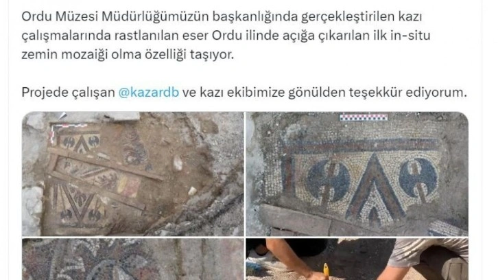 Ordu'da Bizans dönemine ait 'in-situ zemin mozaiği' bulundu