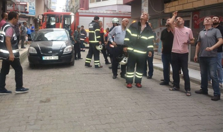 Ordu’da 'koku' paniği