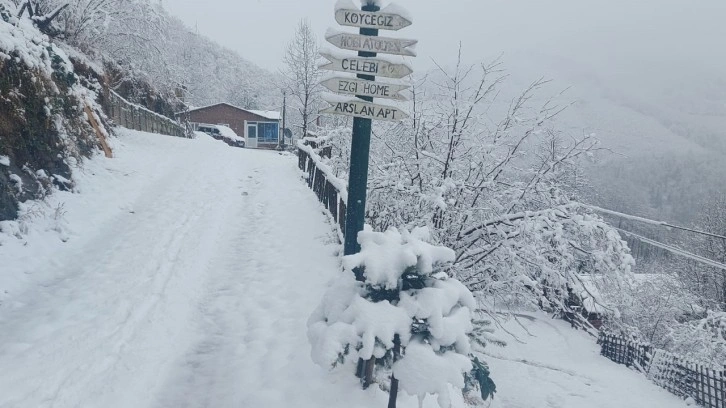 Ordu’nun yüksek kesimlerinde kar yağışı etkili oldu