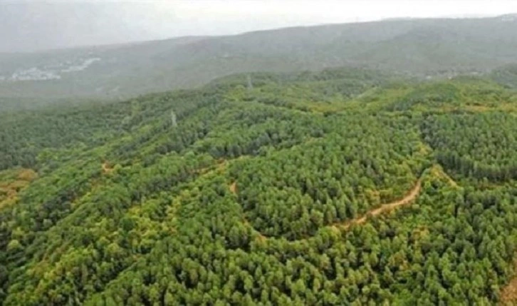 Orman alanından çıkarılan Göltürkbükü Meclis gündeminde