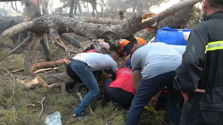 Orman yangınına müdahale ederken üzerine ağaç devrildi