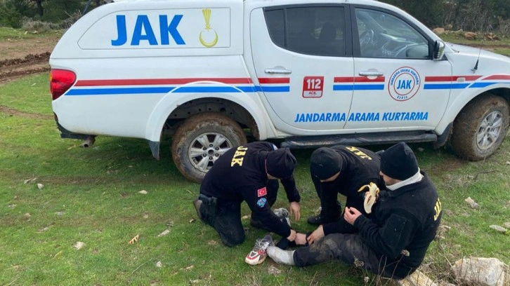 Ormanlık alanda kaybolmuştu! Jandarma timleri buldu