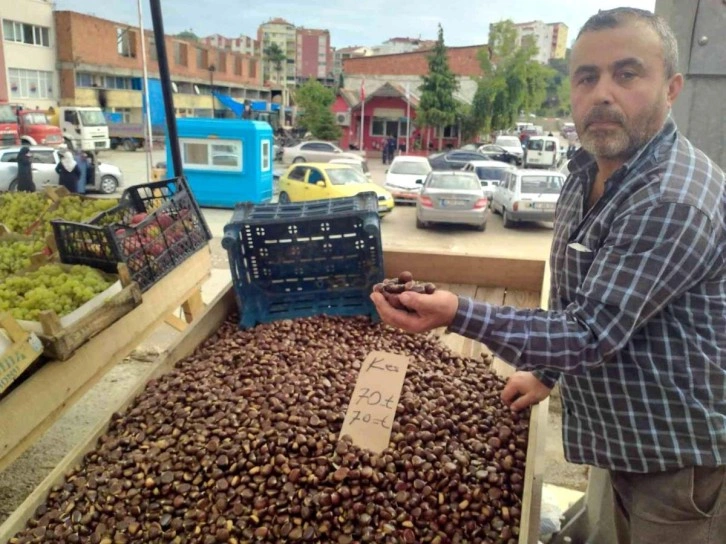 Ormanlık alandan toplanan kestaneler vatandaşın geçim kaynağı oldu! Kilosu 70 TL'ye satılıyor