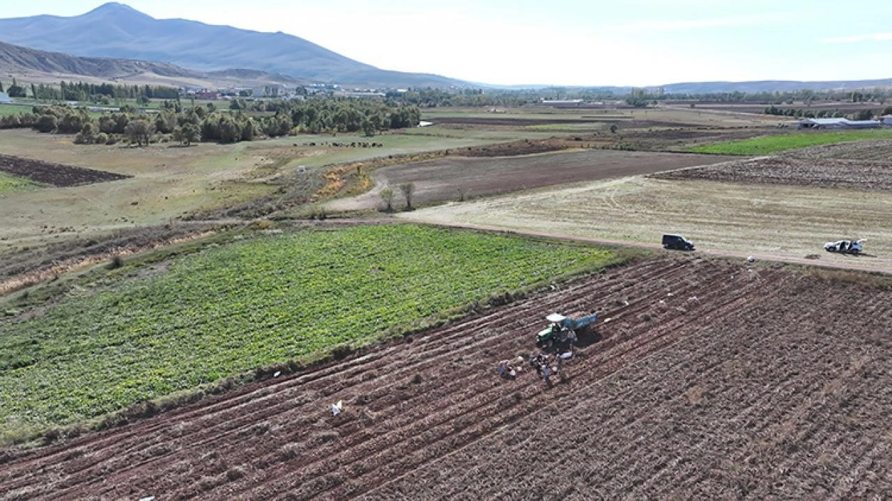 Patates ekim alanının 173 bin dekara ulaştığı Kayseri'de hummalı hasat mesaisi